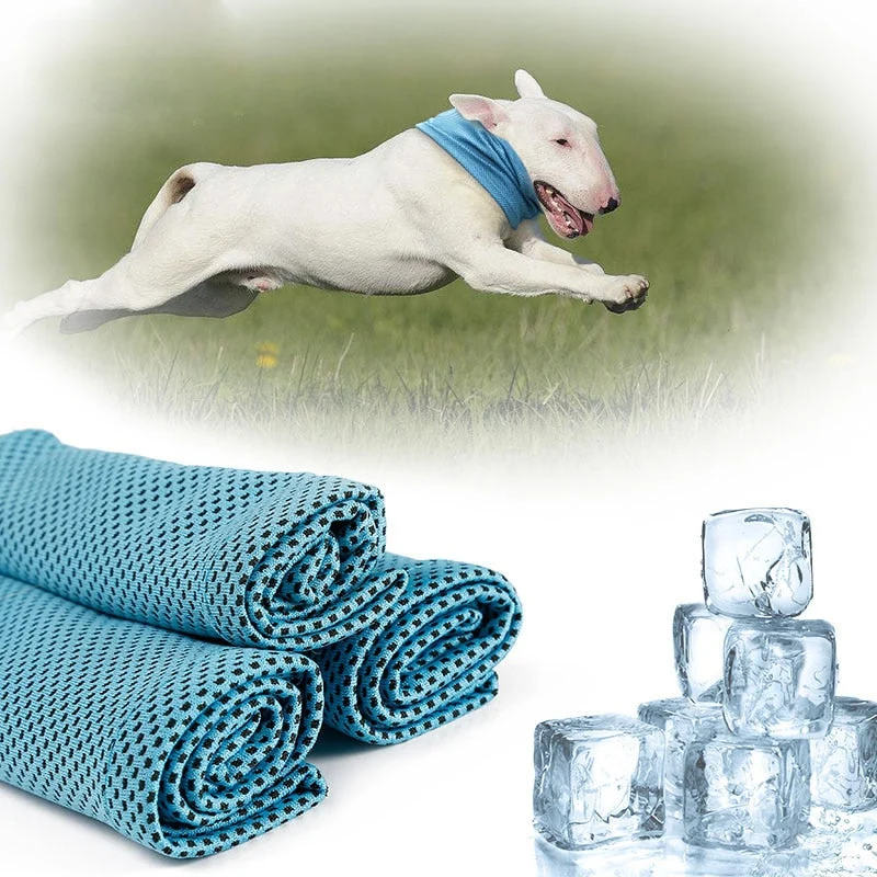 Bandana Rafraîchissant Gros Chien Anti-Canicule