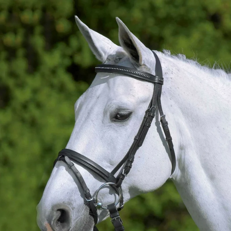 BRIDON STAR DIAMOND | WALDHAUSEN