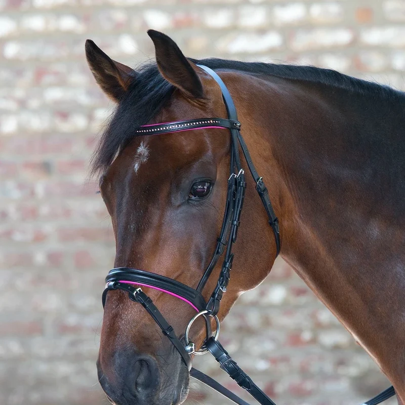 BRIDON STAR DIAMOND | WALDHAUSEN
