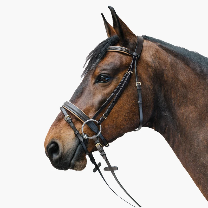 BRIDON STAR DIAMOND | WALDHAUSEN