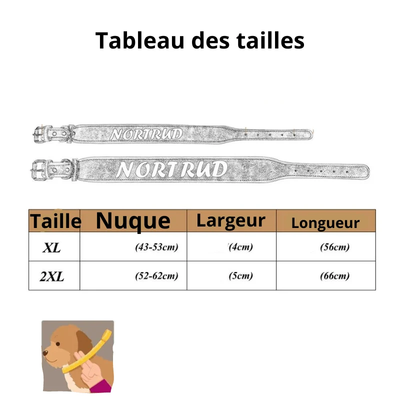 Collier Cuir Pleine Fleur Personnalisable Gros Chien