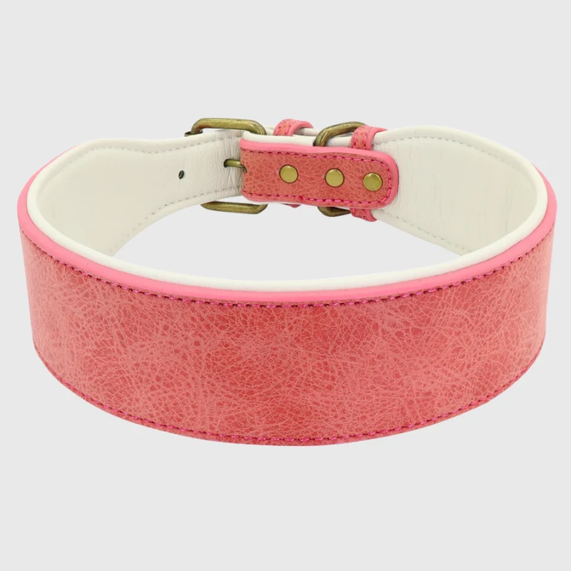 Collier Cuir Pleine Fleur Personnalisable Gros Chien