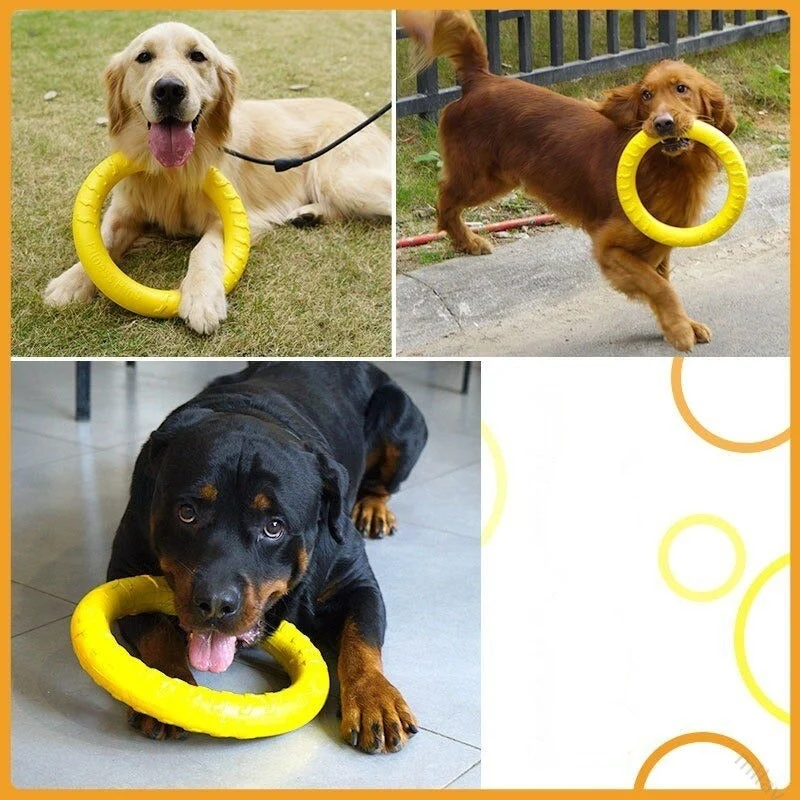 Frisbee Ultra-Résistant Caoutchouc Gros Chien