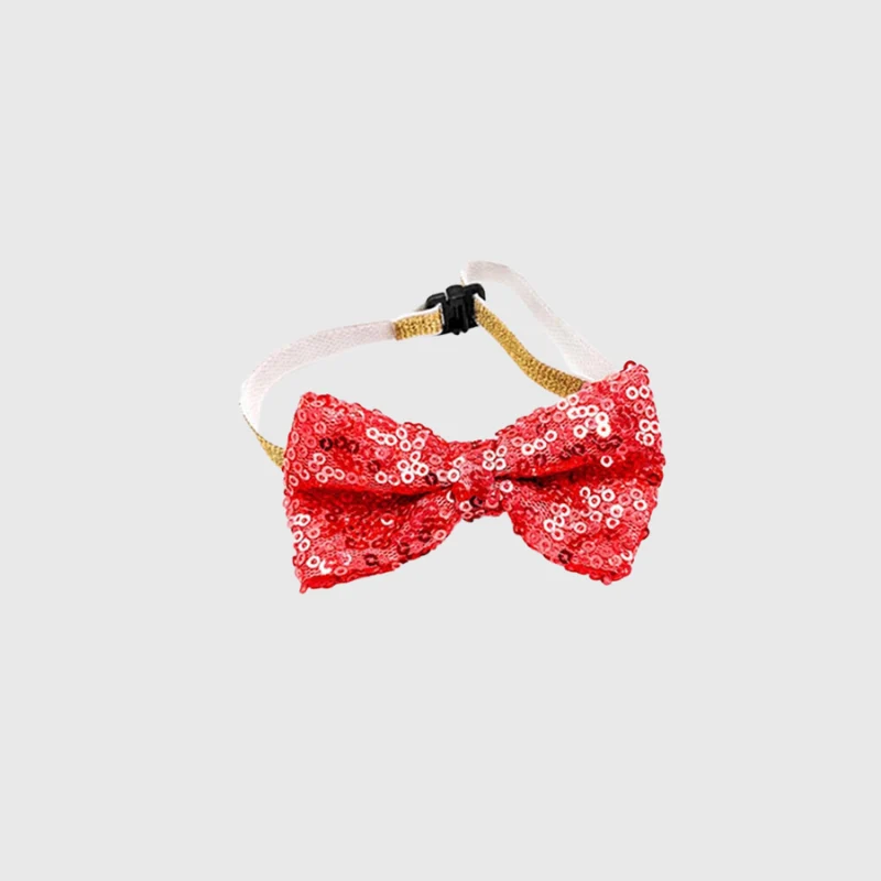 Nœud Papillon Anniversaire Chien Ajustable