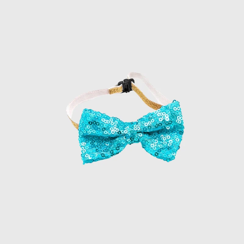 Nœud Papillon Anniversaire Chien Ajustable