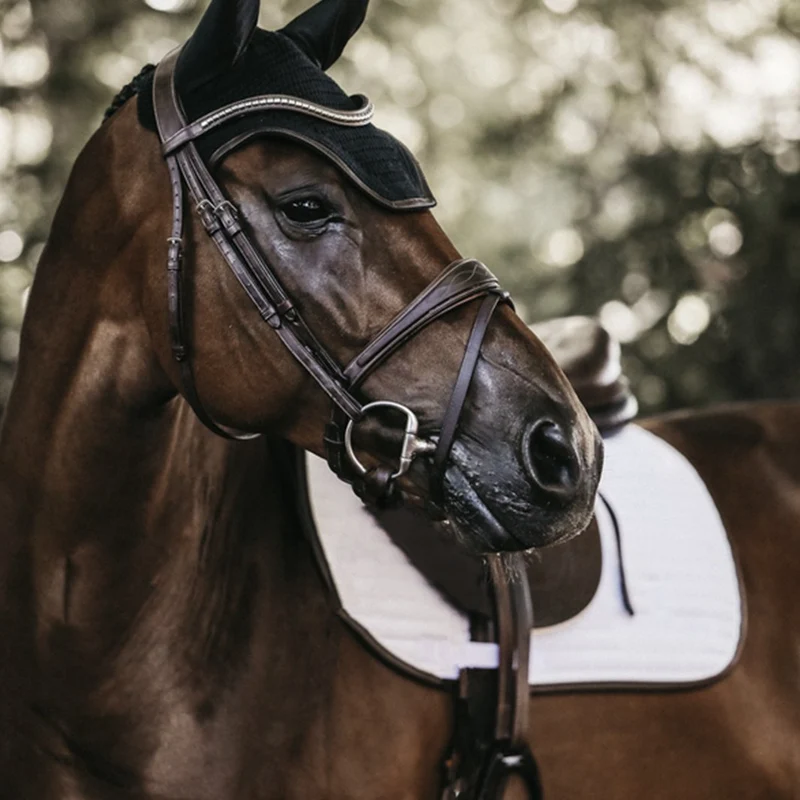 BONNET WELLINGTON LEATHER | KENTUCKY