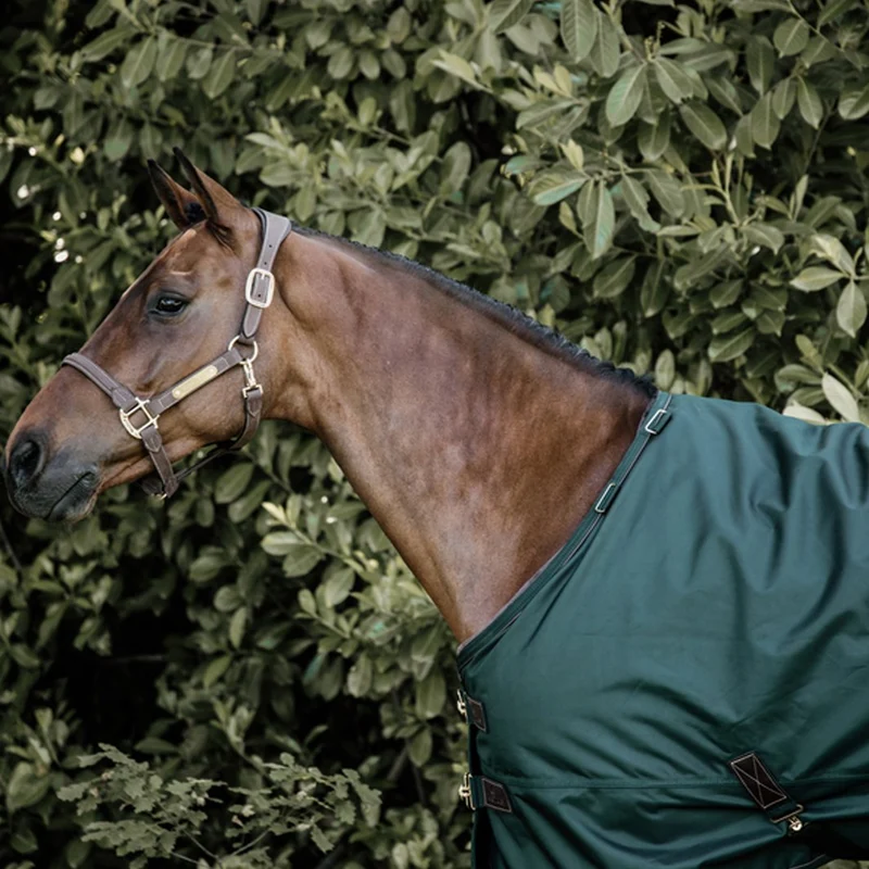 COUVERTURE IMPERMÉABLE ALL WEATHER PRO 160G | KENTUCKY