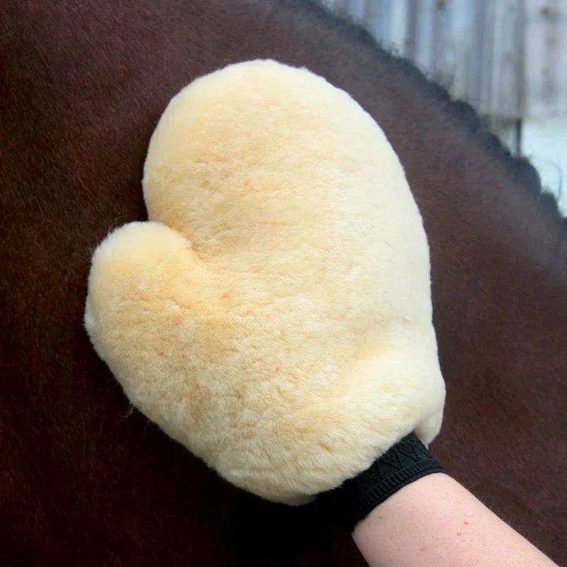 GANTS EN MOUTON | WALDHAUSEN