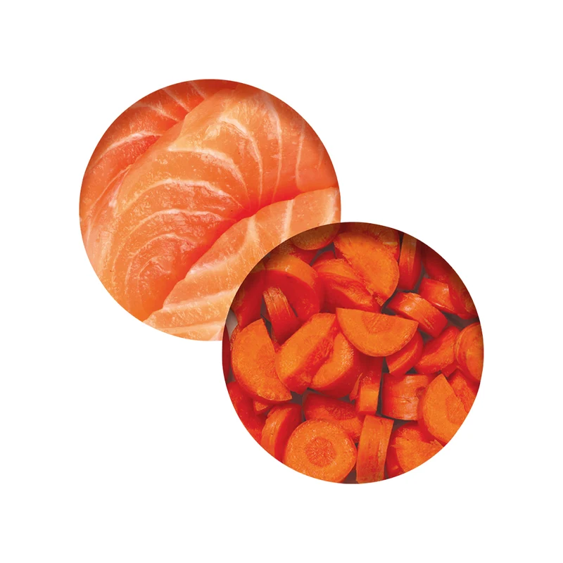 Repas de poulet Catit avec saumon et carottes, 80 g (2,8 oz)