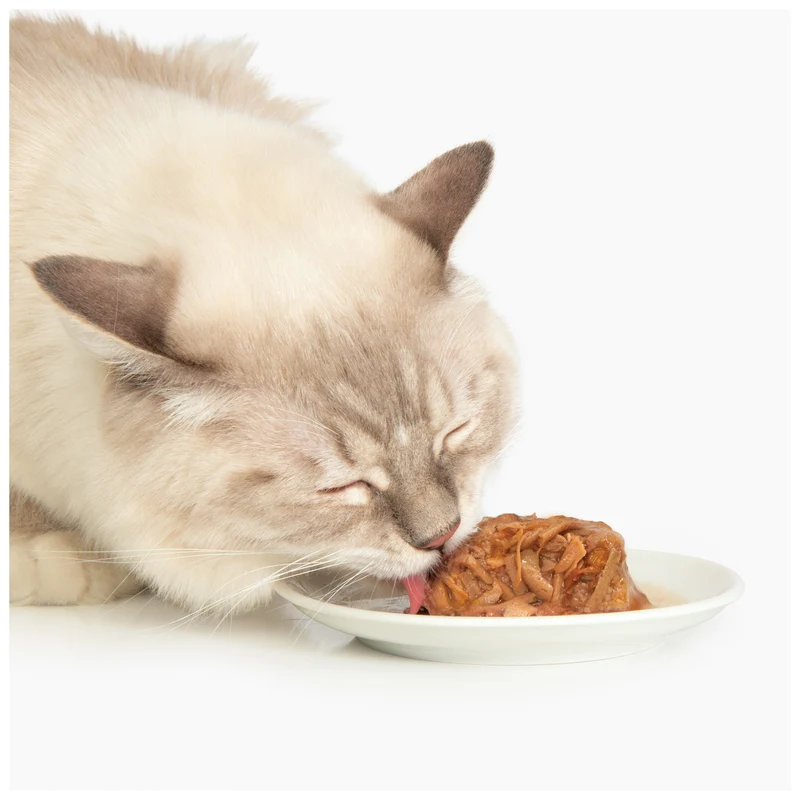 Repas de poulet Catit avec canard et pommes de terre, 80 g (2,8 oz)