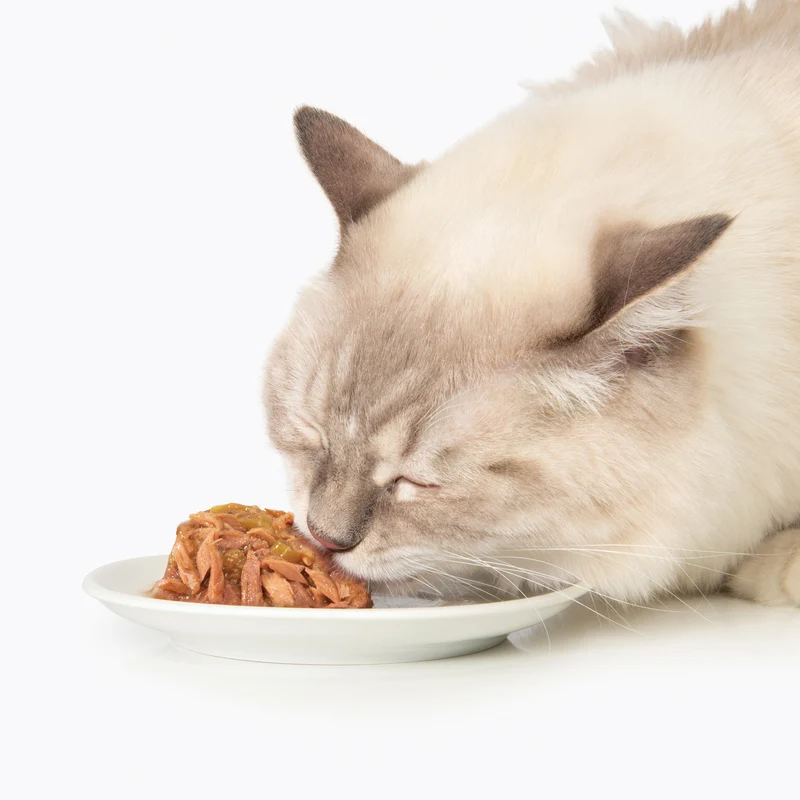 Repas de poisson Catit avec thon et carottes, 80 g (2,8 oz)