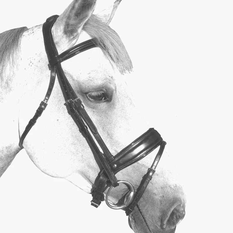 BRIDON GRAND TOUR | SILVER CROWN