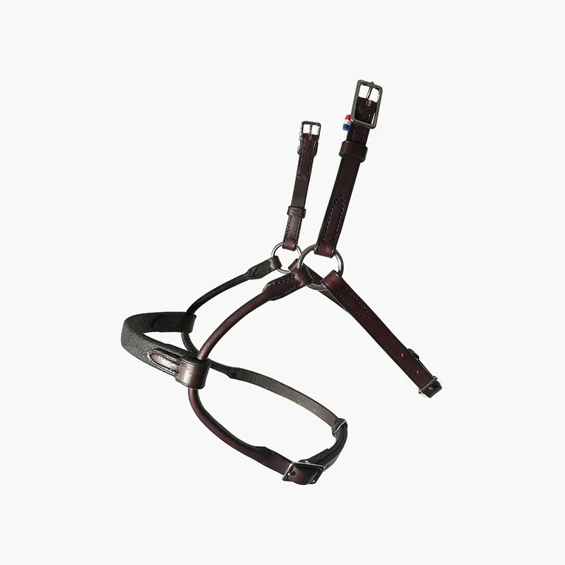 BRIDON EVOLUTION INFINITY | IHWT