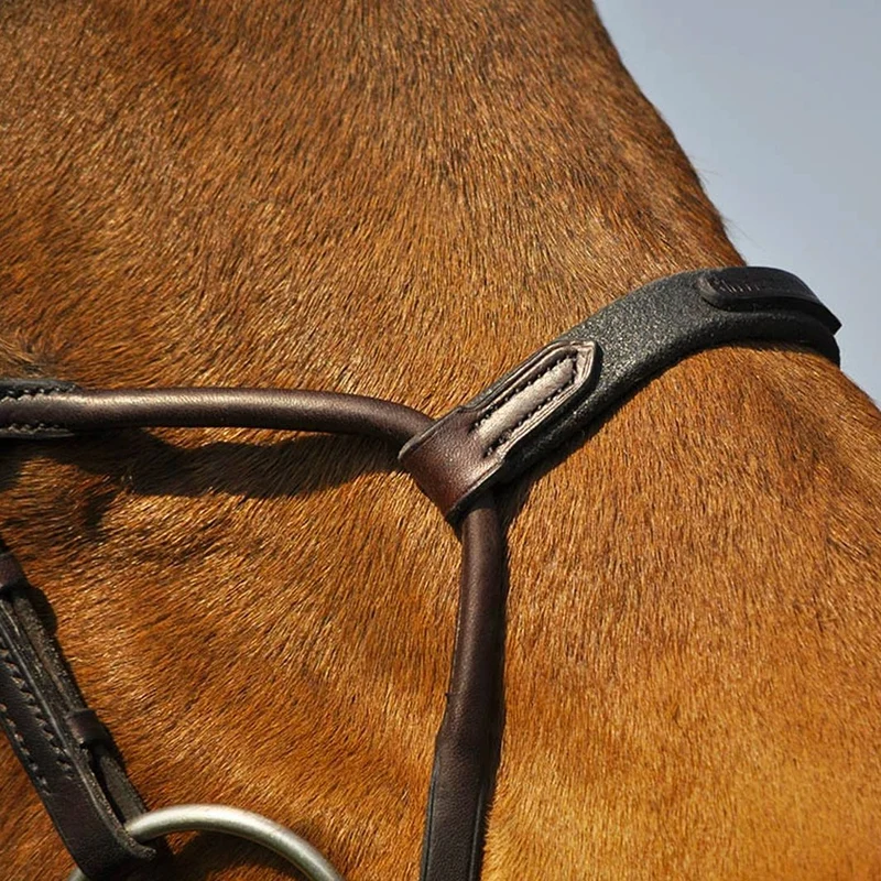 BRIDON EVOLUTION INFINITY | IHWT