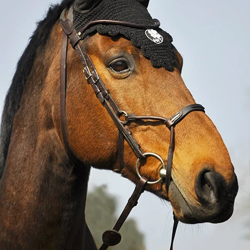 BRIDON EVOLUTION INFINITY | IHWT